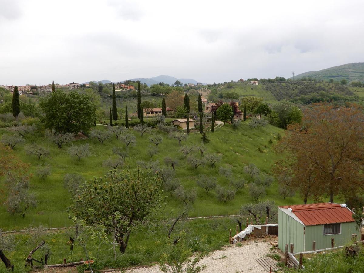 Frasso Sabino Il Gelsomino Bed & Breakfast エクステリア 写真